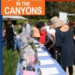 UPCOMING EVENT: CURE IN THE CANYONS 4
