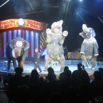 LIVE PRODUCTION: CONEY ISLAND ILLUSCINATION