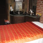 HEALTH/BEAUTY:ONA SPA PARTY    
