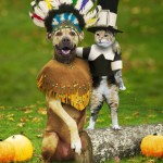 HOLIDAY: HAPPY THANKSGIVING 2011